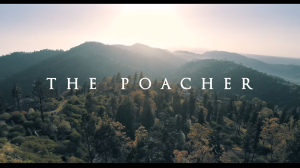 The establishing shot of the park with the title "The Poacher"